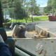 Image for article titled Sprint Drove Me to a Dumpster in Texas to Show Me the Future